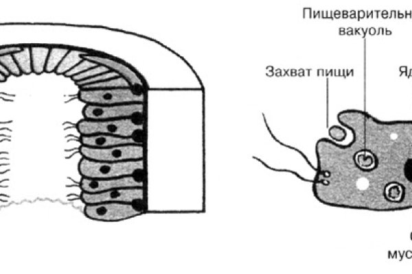 Где заказать наркотики