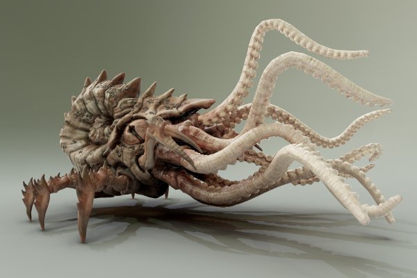 Kraken telegraph