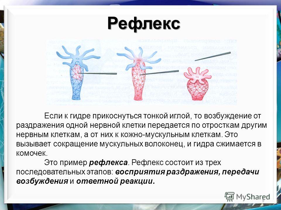 Сайт даркнет покупки